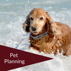 Pet Planning