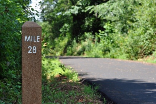 Age-Related Retirement Milestones